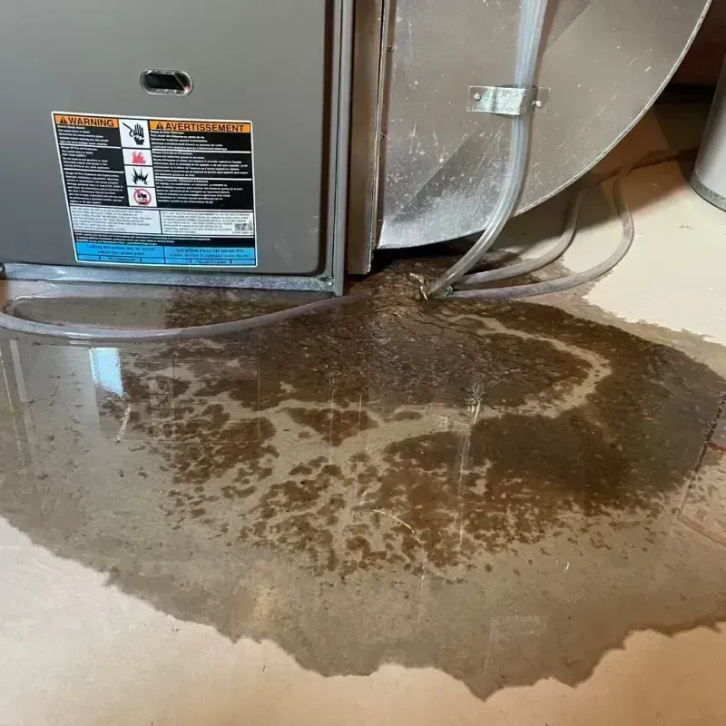 Appliance Leak Cleanup in Country Club Hills, MO